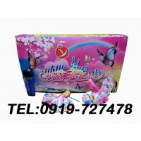 蝶舞(中蝶24入)